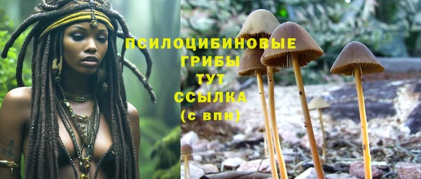 кокаин премиум Горнозаводск