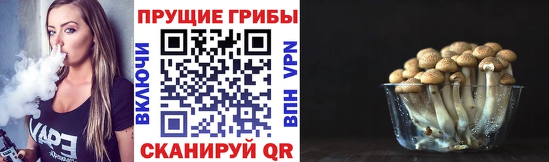 Купить закладки Коркино Галлюциногенные грибы Psilocybine cubensis